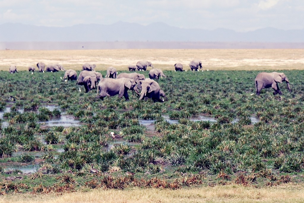 Kenia (237).jpg